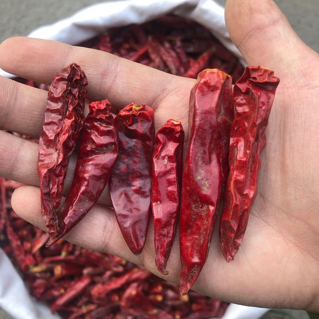 鼎記國際 子彈頭辣椒一斤裝600g