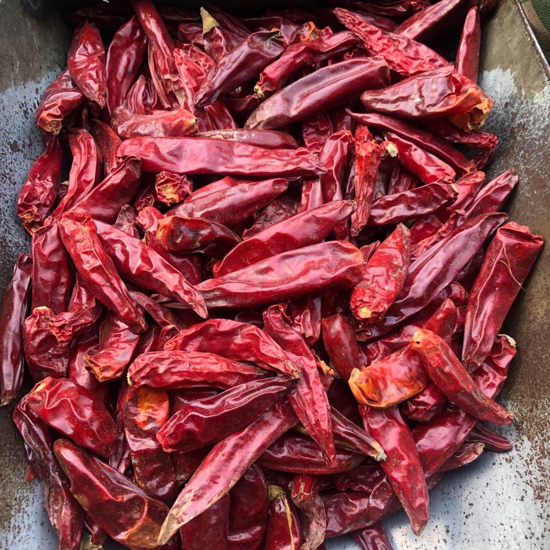 鼎記國際 子彈頭辣椒一斤裝600g