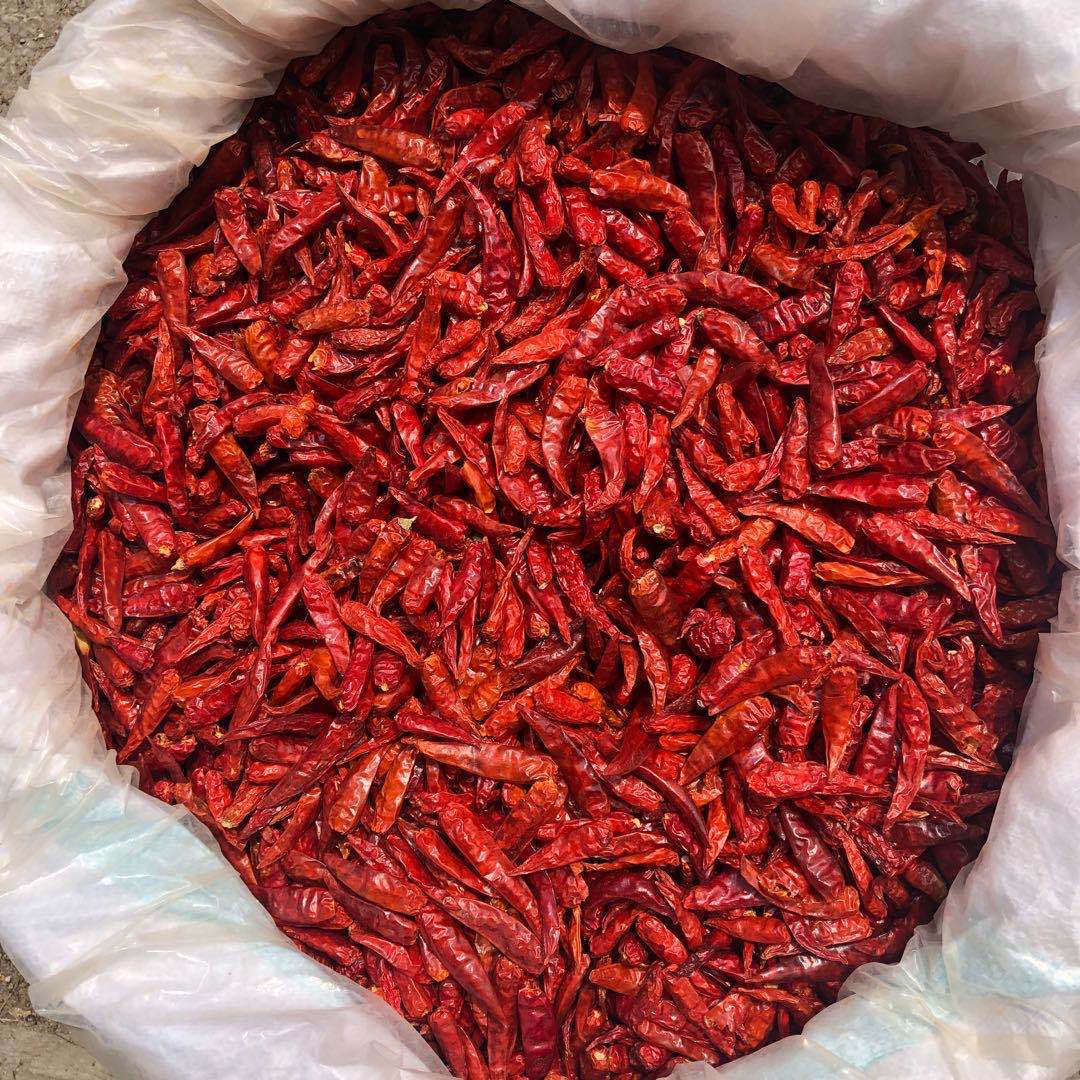 鼎記國際 雞心辣椒乾600g一台斤裝 批發業務