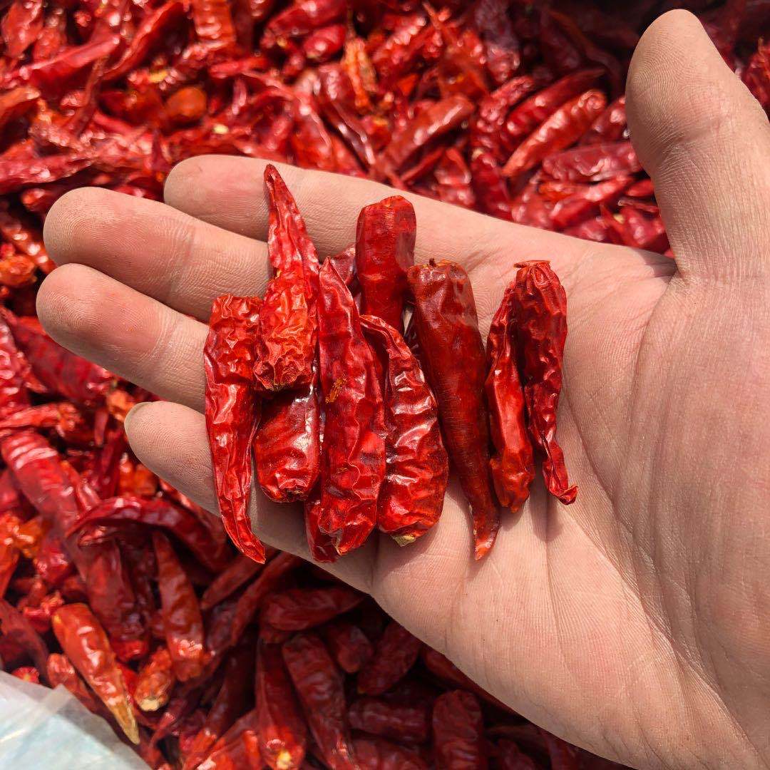 鼎記國際 雞心辣椒乾600g一台斤裝 批發業務