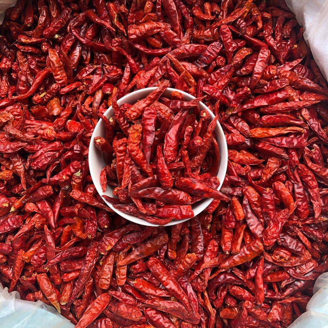 鼎記國際 雞心辣椒乾600g一台斤裝 批發業務