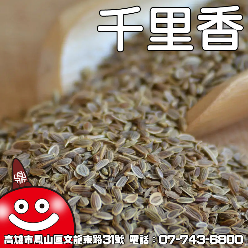 千里香一台斤600G批發 鼎記國際食品 歡迎加下方line諮詢