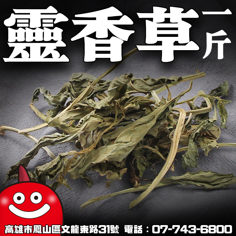 靈香草一台斤600G批發 鼎記國際食品 歡迎加下方line諮詢