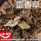 靈香草一台斤600G批發 鼎記國際食品 歡迎加下方line諮詢