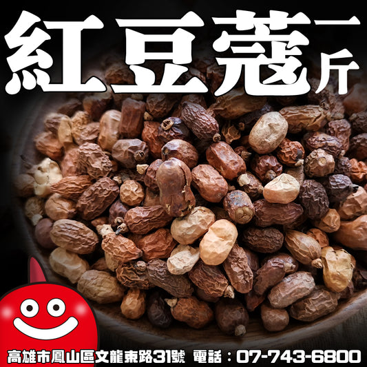 鼎記國際 紅豆蔻一台斤裝600G批發