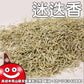 迷迭香一台斤600G批發 鼎記國際食品 歡迎加下方line諮詢